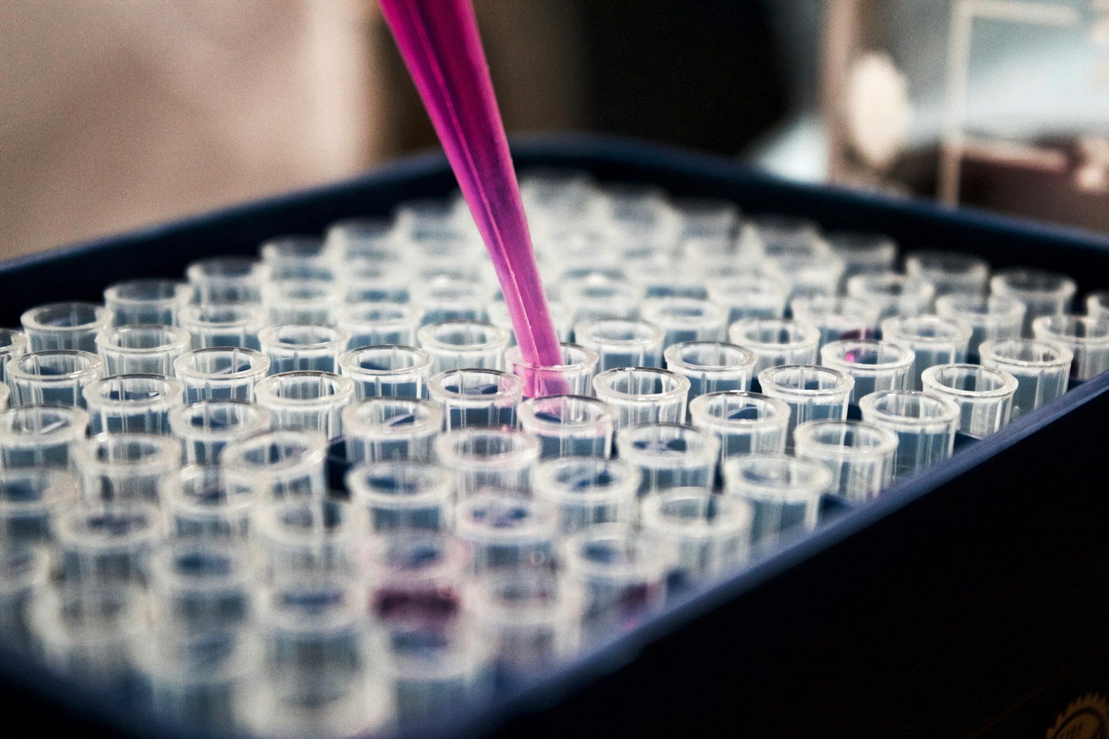 Laboratuvarda pipetle örnek hazırlığı